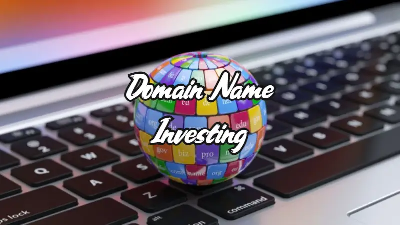 A beginners guide to investing in Domain Names In New Zealand