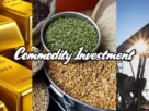 Beginners Guide To Commodity Investment in New Zealand