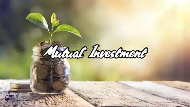 Mutual Fund Investment in New Zealand