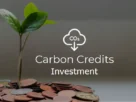 Carbon credit Investment