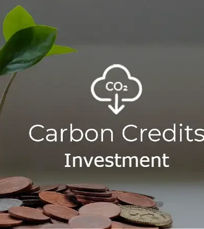 Carbon credit Investment