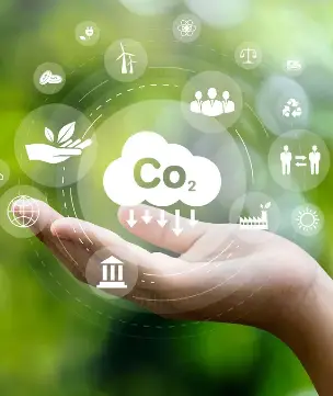 Invest In carbon credit